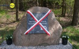 100 drzew na 100 lecie powiatu – łączymy historię z naturą [zdjęcia]
