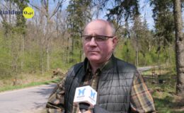100 drzew na 100 lecie powiatu –  łączymy historię z naturą
