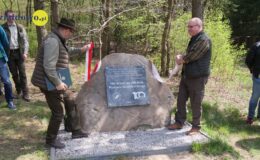 100 drzew na 100 lecie powiatu –  łączymy historię z naturą