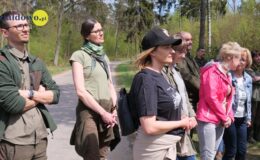 100 drzew na 100 lecie powiatu –  łączymy historię z naturą