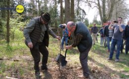 100 drzew na 100 lecie powiatu –  łączymy historię z naturą