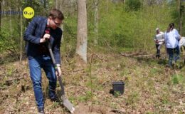 100 drzew na 100 lecie powiatu –  łączymy historię z naturą