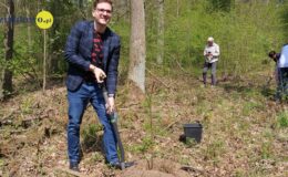 100 drzew na 100 lecie powiatu –  łączymy historię z naturą