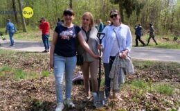 100 drzew na 100 lecie powiatu –  łączymy historię z naturą