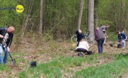 100 drzew na 100 lecie powiatu –  łączymy historię z naturą