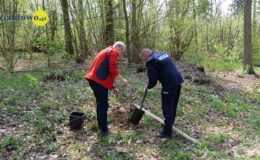 100 drzew na 100 lecie powiatu –  łączymy historię z naturą