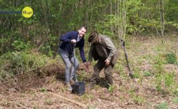 100 drzew na 100 lecie powiatu –  łączymy historię z naturą