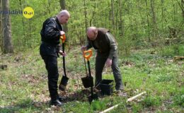 100 drzew na 100 lecie powiatu –  łączymy historię z naturą