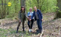 100 drzew na 100 lecie powiatu –  łączymy historię z naturą