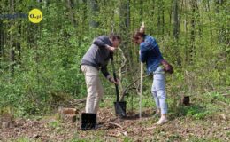 100 drzew na 100 lecie powiatu –  łączymy historię z naturą