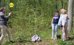 100 drzew na 100 lecie powiatu –  łączymy historię z naturą