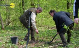100 drzew na 100 lecie powiatu –  łączymy historię z naturą