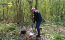 100 drzew na 100 lecie powiatu –  łączymy historię z naturą