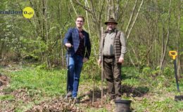100 drzew na 100 lecie powiatu –  łączymy historię z naturą