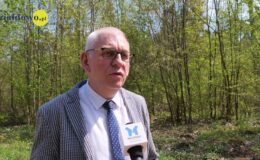 100 drzew na 100 lecie powiatu –  łączymy historię z naturą