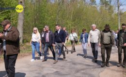 100 drzew na 100 lecie powiatu –  łączymy historię z naturą