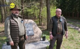 100 drzew na 100 lecie powiatu –  łączymy historię z naturą