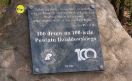 100 drzew na 100 lecie powiatu –  łączymy historię z naturą