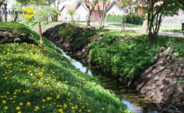 Park Jana Pawła II w Działdowie przechodzi gruntowny remont