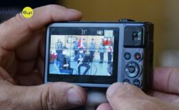 Dąb Pamięci komendanta Policji w Działdowie