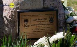 Dąb Pamięci komendanta Policji w Działdowie