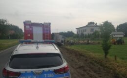 Transport z żywym inwentarzem wylądował w rowie