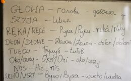 „Warsztaty językowo-integracyjne” dla młodzieży ukraińskiej i polskiej w SP 4