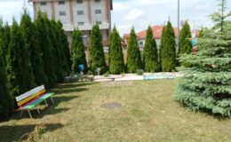 W Przedszkolu nr 1 powstał ogród sensoryczny