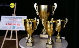 Gala podsumowująca współzawodnictwo sportowe działdowskich szkół