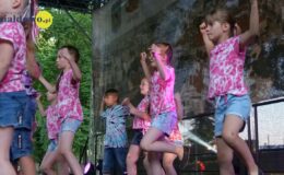 Piosenki, tańce i dobra zabawa na zakończenie roku kulturalnego