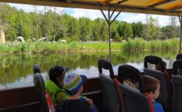 Dzień Dziecka w Przedszkolu nr 3