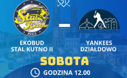 Yankeesi w 1 lidze ulegli po dobrych meczach Mistrzom Polski