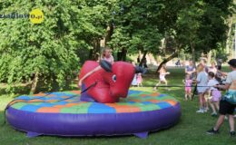 Piknik rodzinny „Bezpieczne Wakacje”