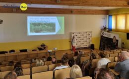 Jak zaprogramować swój szczęśliwy mózg