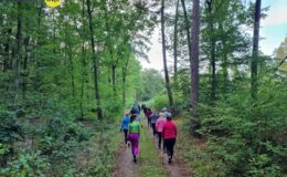 Drugi trening z instruktorem Nordic Walking