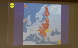 Spotkanie z historią – „Czerwona apokalipsa”