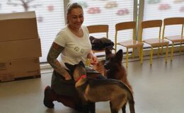 Bella, Holden i Jira z wizytą u „Biedroneczek”
