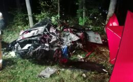 samochód po uderzeniu w drzewo