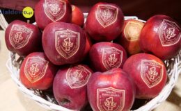 Pasowanie „na pierwszaka” i Dzień Edukacji Narodowej w ZPO nr 1