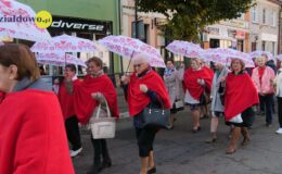 15-lecie Działdowskiego Stowarzyszenia „Amazonki”