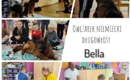 Wizyta owczarków w Przedszkolu nr 4 – grupa Misie i Mali Odkrywcy