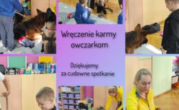 Wizyta owczarków w Przedszkolu nr 4 – grupa Misie i Mali Odkrywcy