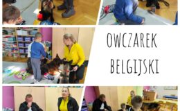 Wizyta owczarków w Przedszkolu nr 4 – grupa Misie i Mali Odkrywcy