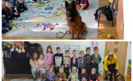 Wizyta owczarków w Przedszkolu nr 4 – grupa Misie i Mali Odkrywcy