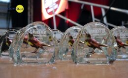 Hoffer Superhit Festival’ Działdowo 2022
