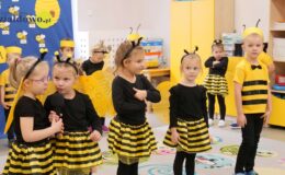 „Pszczółki” pasowane na przedszkolaka