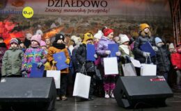 Jarmark Bożonarodzeniowy