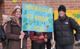 Akcja ekologiczna – dbajmy o mokradła