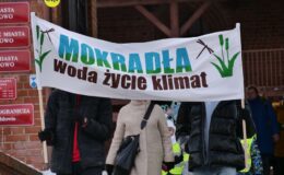 Akcja ekologiczna – dbajmy o mokradła