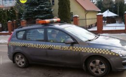 Akcja ekologiczna – dbajmy o mokradła